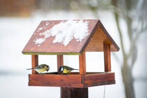 Vogelfutterhaus im Garten